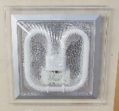 ������픟� �N�l��_��  ���� 