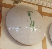 ������픟� �P����픟����� �A�� 