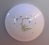 �W��˹ ��픟� �A�� �P����픟�049  �F�������L�� �׵׎��D�������� 22W 