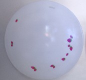 �W����픟� �P����픟���ݮ �A�� 