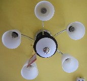 �鶼���� 8351/5 ���ٟ���+ĥɰ�������� 