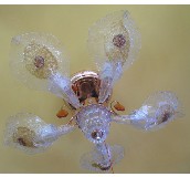 ͨ�_���� P28815 ���ٟ���+��ˇ�������� 