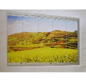 �ƾS�[����_�� �X�Ͻ��X�Ͻ�+䓻����� ӆ�� 