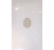 ���ҾӉ��u��Ƭ �׺ΈD�� 300��600mm 