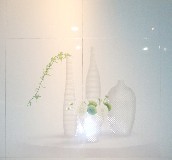 ���ҾӉ��u��Ƭ ��ɫ 300��450mm 