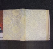 �ǻ����� �Wʽ�L���Sɫ��WS-1221  ��530mm���L10�� 