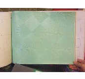 ̩�؉��� �F�����s���Gɫ���� 0.92��50M 