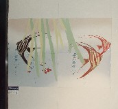 �@ʯ���u��Ƭ ����D�� 300��450mm 