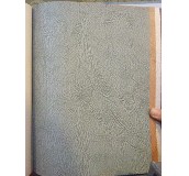 ̩�؉��� �Wʽ�L���ɫ�Ѽy 50��1.3M 