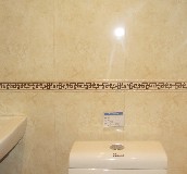 �@ʯ��Ƭ �Sɫ�׺� 300mm��50mm 