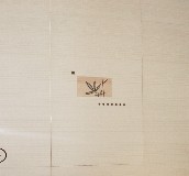 �@ʯ���u��Ƭ ��ɫ��ֲ�ﻨ�y 300��450mm 