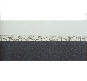 �W������Ƭ ���� 300mm��50mm 