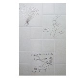 �����Չ��u��Ƭ ��ɫ 300��450mm 