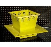 ���ݾӻ��ܡ��������� ���P �F�| 