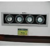 �W�ո����� 1142/SP 4�^ 