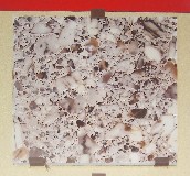 С�۷�شu �����u�\����ɫ 300mm��300mm 