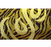 �M䁼��õ�̺�DƬ