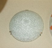 ��־��픟� �P����픟�8001/2 �A�� 