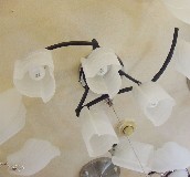 ��־���� 8196/6 ���ٟ���+ĥɰ�������� 