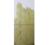 �ɖ|�A�z�A�Ӳ��� ���� 15�� 