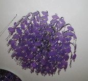 ���õ���  MX-654/9 ���ٟ���+���������� 