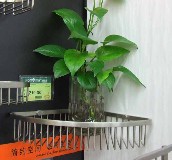 �f��ʿ�N�l����� 305��230��55mm ����B-0802 1�� 