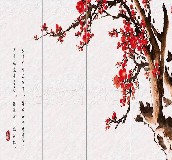 ��̱����� BJ068 2800X2400mm 