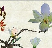 ��̱����� BJ503 2800X2400mm 