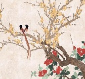 ��̱����� BJ036 3000��2000mm 