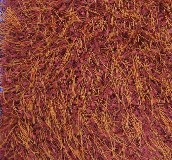 ���ؼ�ͥ�M䁵�̺ MD-03 ӆ�� 