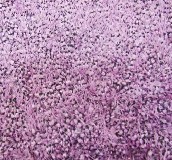 ���ؼ�ͥ�M䁵�̺ MD-04 ӆ�� 