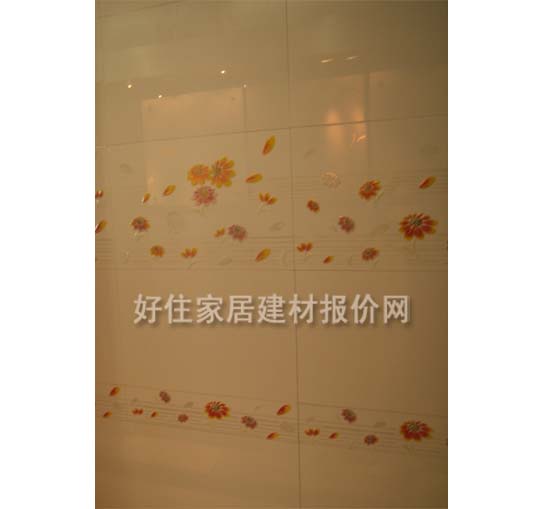 ���u��Ƭ JIAZHI05 300��450mm