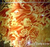 ���ǹ�ˇ���� ���L�����Sɏ�� 8�� 