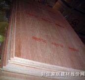 �����yȼ�z�ϰ�  2440mm��1220mm����5mm 