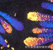 �|���k���ÝM䁵�̺ X006 ��4M 