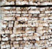 �ְ�ľ�� ��ͨ�ⷽ 30mm��40mm���L4000mm 