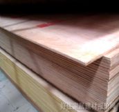 ��ɭ�yȼ�z�ϰ�  2440mm��1220mm����3mm 