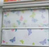 ����ˇ�w��ꖺ� �߲ʺ����p�Ӿ��� ӆ�� 