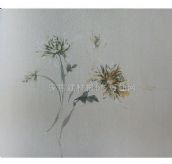 shinhan���� �����33151-3 1.06m��15.60m 