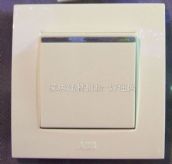 ABB���E���_�P��� Au13153-WW 1λ�ο� ��ɫ