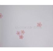 spring garden���� P43 1.06m��15.6m 