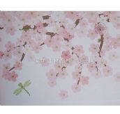 spring garden���� P43A 10M 