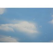 �ÿ��gˇ�gͿ�Ϲ�ˇ �{����� 