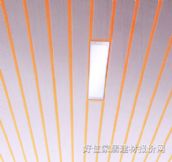 �͵�˹�X�ۗl���컨 ��ĤBDS0010 ӆ�� 