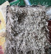 �τټ�ͥ�M䁵�̺ �τ��w�S��̺#16 ӆ�� 