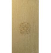 �����D���u��Ƭ 1WHS60402C 300��600mm 