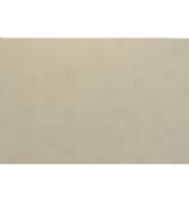 �ݰ��u ����uůɫ�y��D��H348003 300mm�� 450mm 