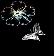 ���i����� ؐ��ϵ�кڵ���1503 2440mm��1220mm����1mm 