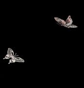 ���i����� ؐ��ϵ�кں���15013 2440mm��1220mm����1mm 