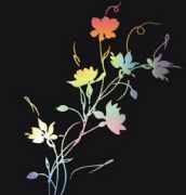 ���i����� �߲�ϵ�к�ɫ����A75040 2440mm��1220mm����1mm 